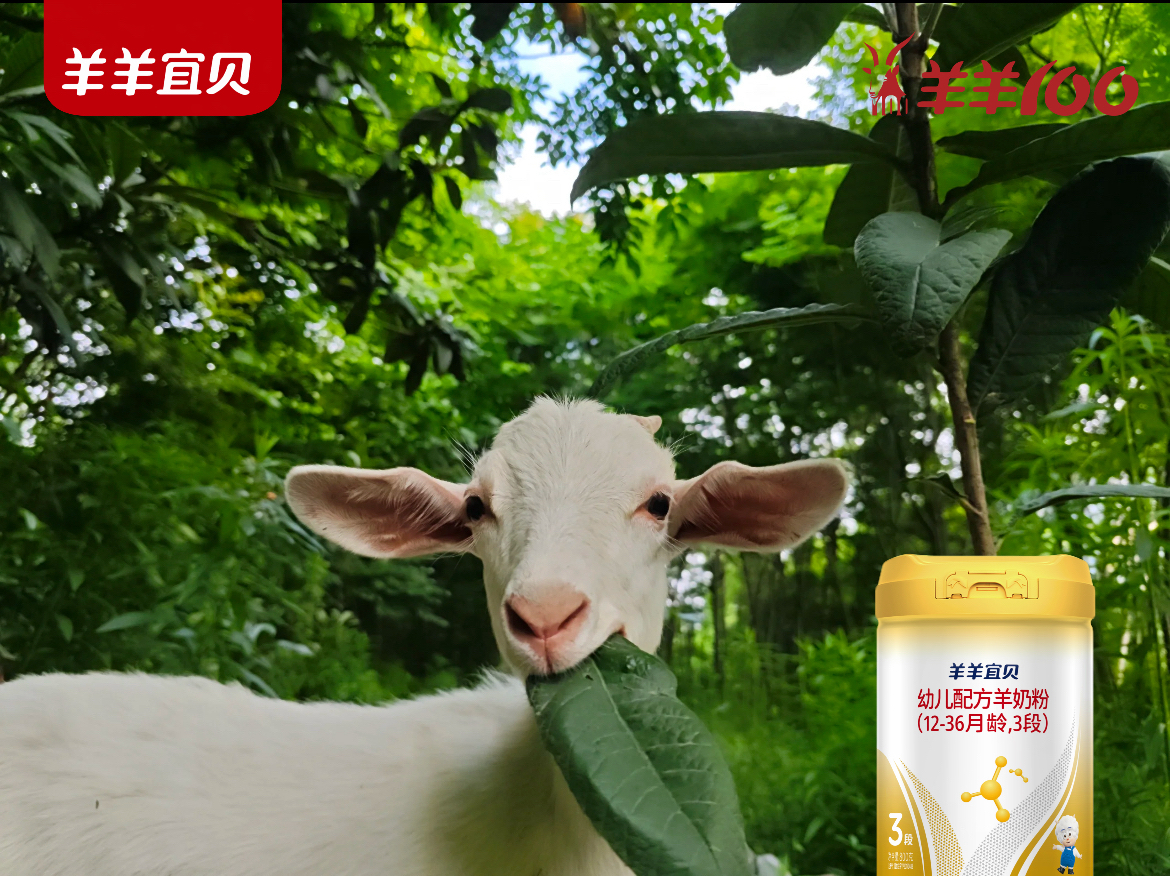 羊羊宜贝，来自新西兰南岛的奶源新诗篇