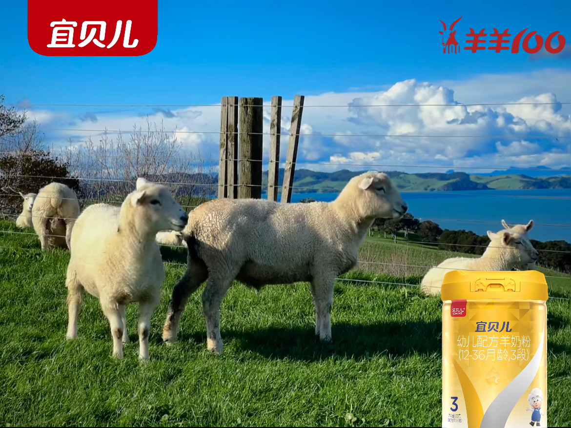 新西兰奶源：宜贝儿纯绵羊奶的自然乳源诗篇