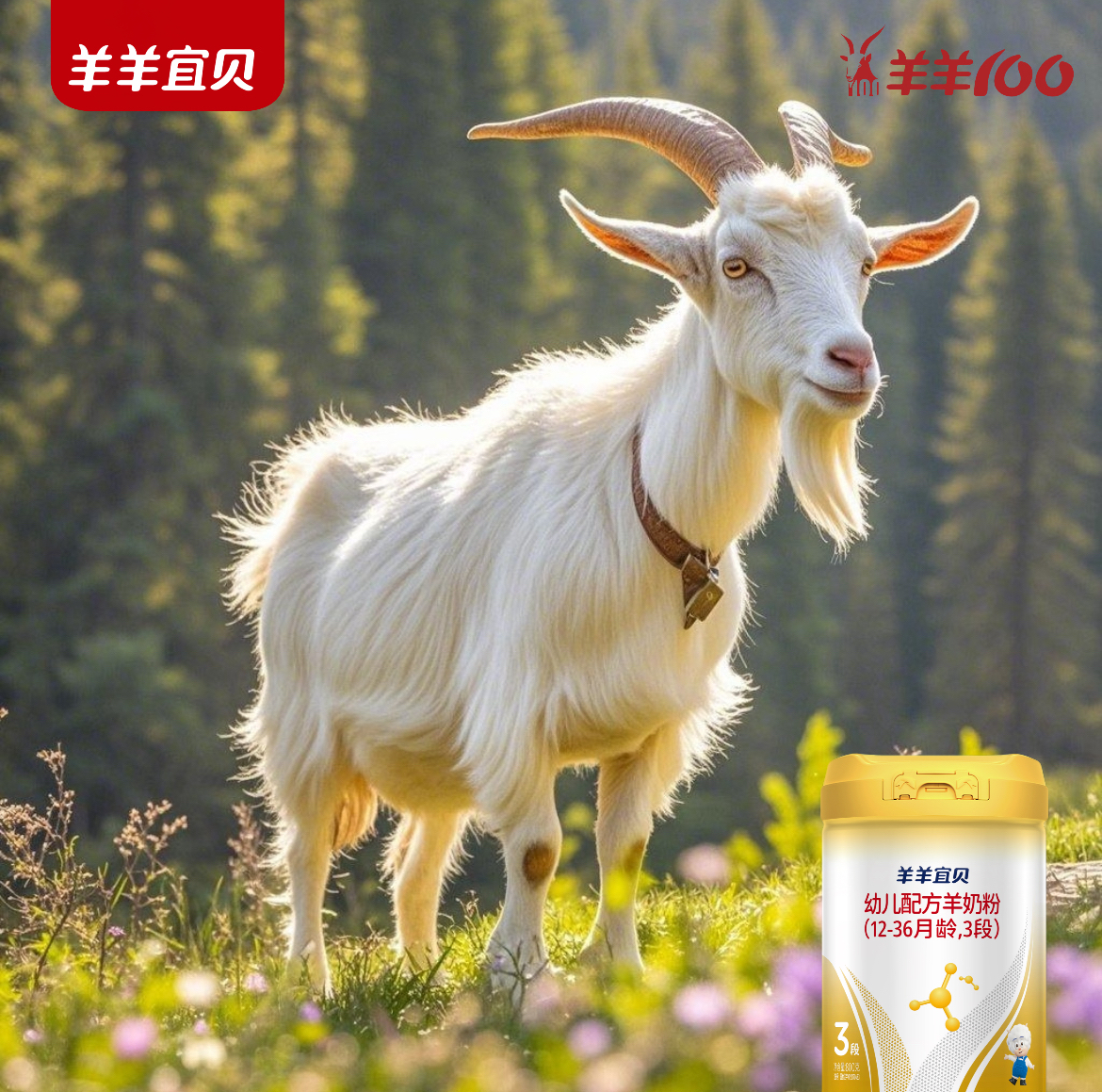 雪山之息：羊羊宜贝新西兰的奶源真境