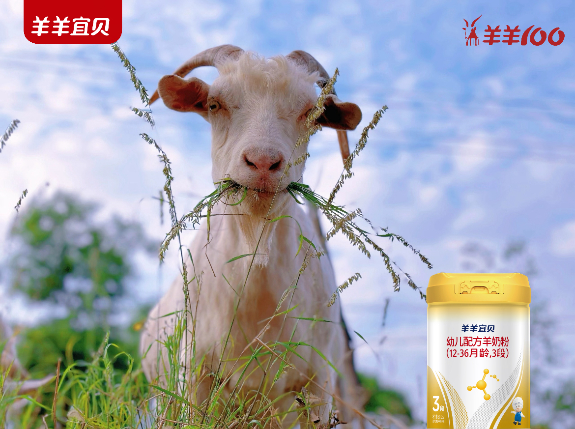 凝源：羊羊宜贝的新西兰奶源手记