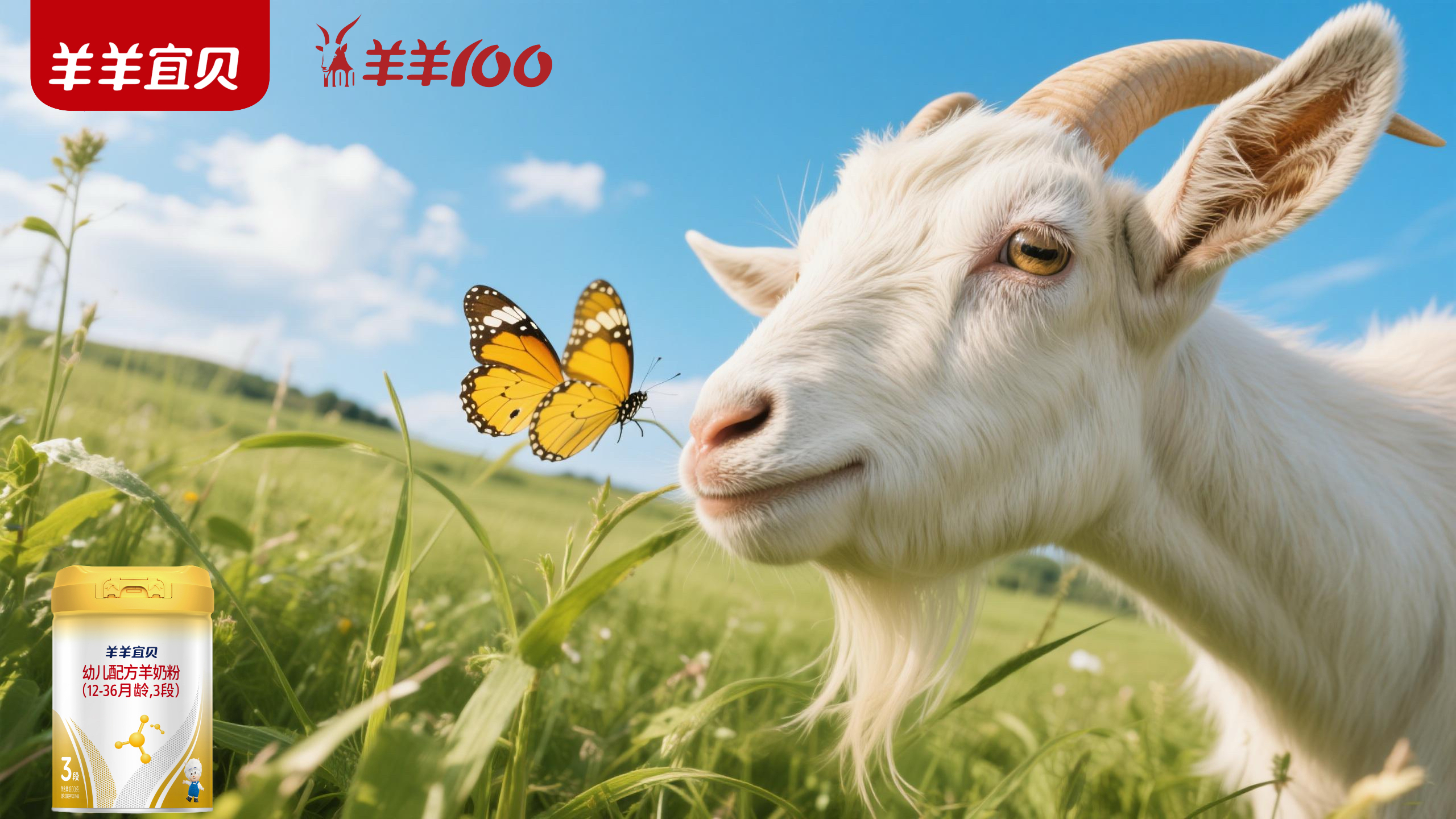 羊羊宜贝 | 从源头出发,探寻新西兰纯净奶源的奥秘